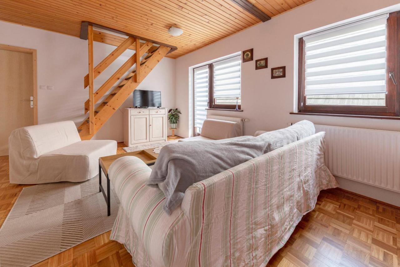 Apartma Mikelj 博希尼 外观 照片