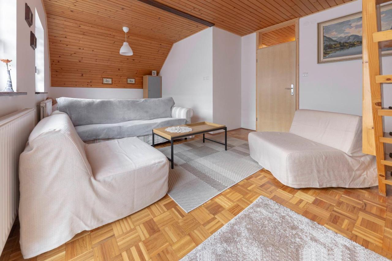 Apartma Mikelj 博希尼 外观 照片